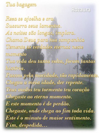 Tua Bagagem