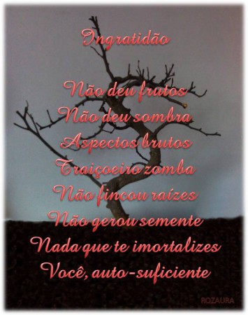 INGRATIDÃO
