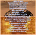 A Rede a Teia